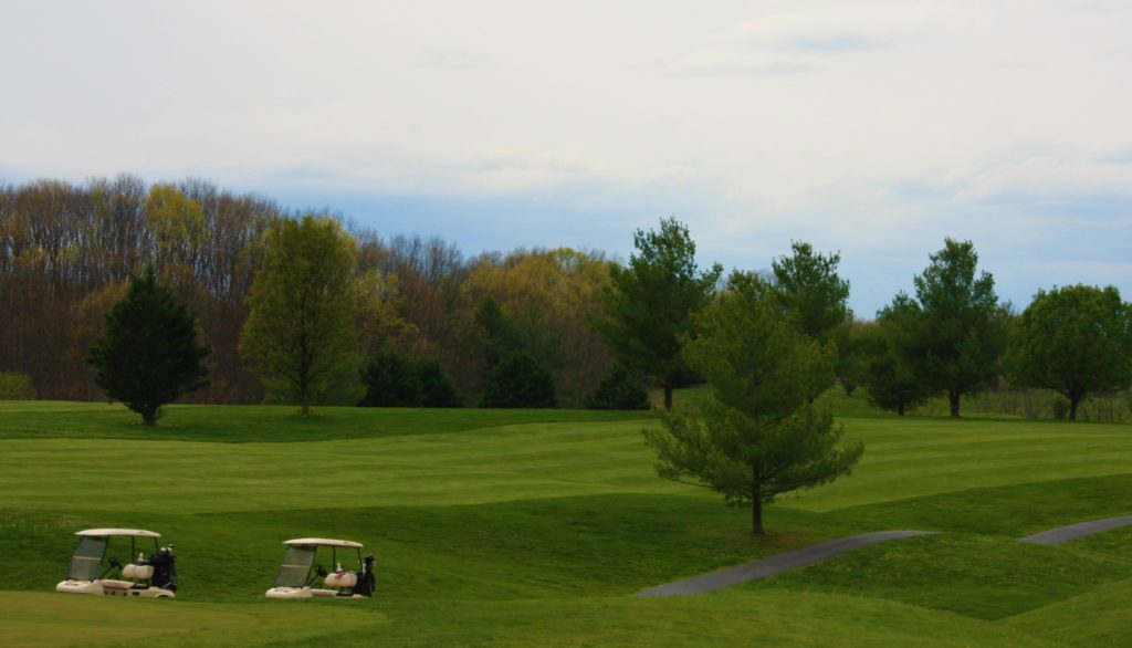 #9 Fairway with carts B