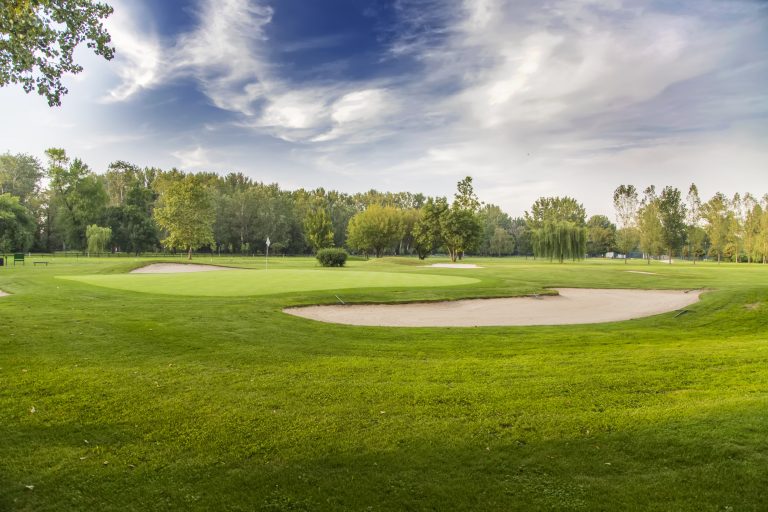 Golf Course SLY FOX